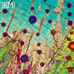 Microscopic Feel - EP