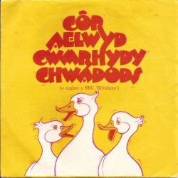 Côr Aelwyd Cwmrhydychwadods