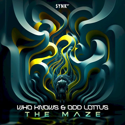 The Maze