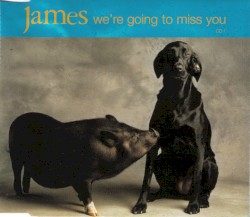 We're Going to Miss You
