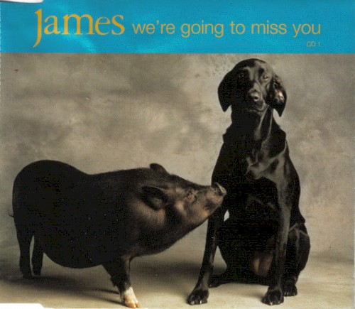 We're Going to Miss You