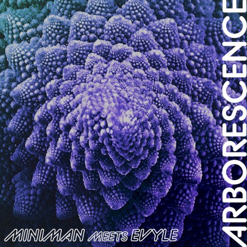 Arborescence