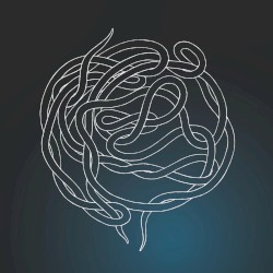 Coiled Light