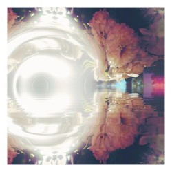 Haven
