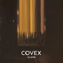 Wildfire