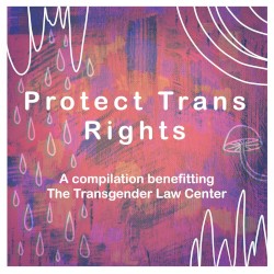 Protect Trans Rights: A Compilation Benefitting The Transgender Law Center