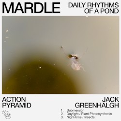 Mardle: Daily Rhythms of a Pond