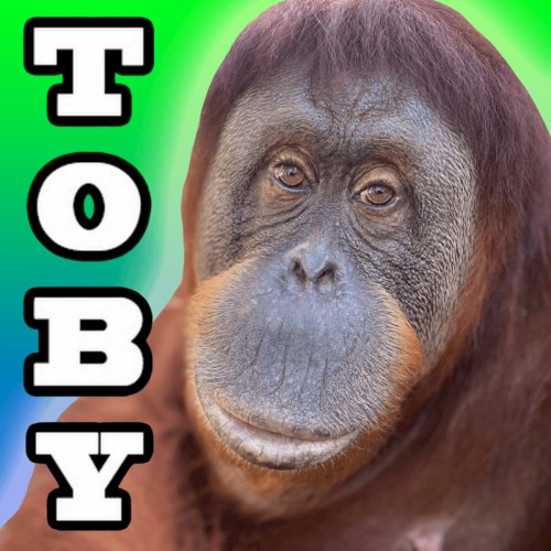 Albumbuscus