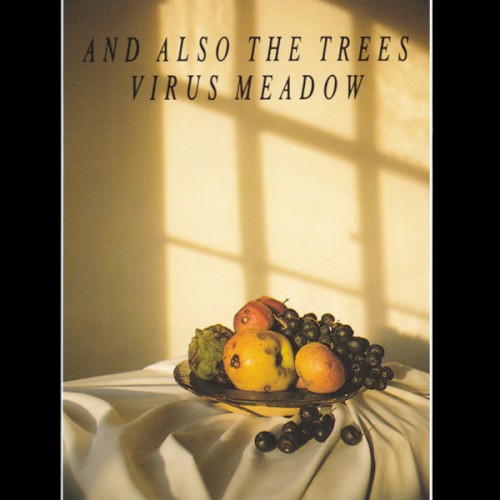 Virus Meadow