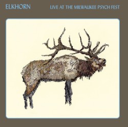 Live At The Milwaukee Psych Fest
