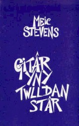 Gitâr Yn Y Twll Dan Stâr