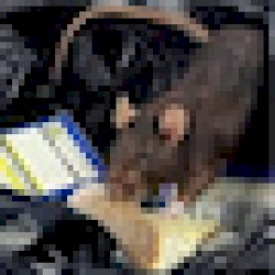you pee good [chiptune]