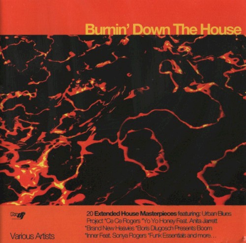 Burnin' Down The House