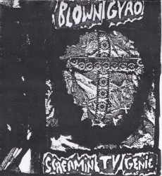 Screamin TV Genie
