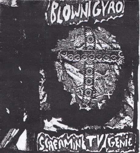 Screamin TV Genie