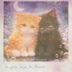 La Gata Bajo la Lluvia