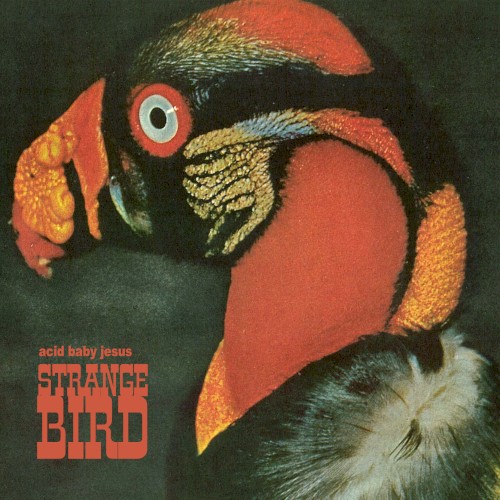 Strange Bird
