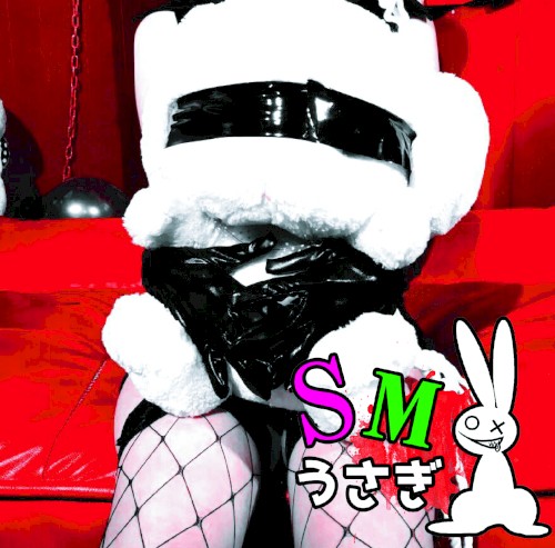 SMうさぎ