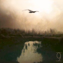 Musings 9