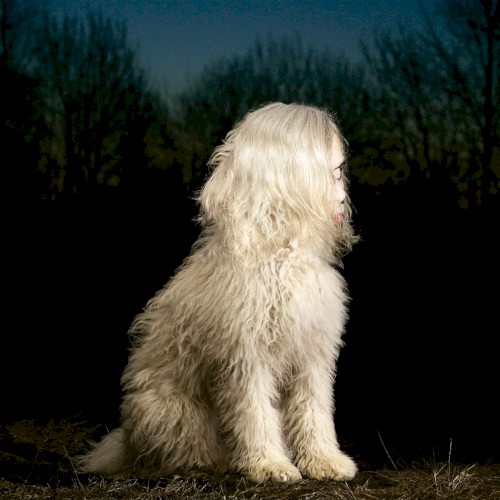Doga