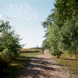 beyond old names, everyone’s songs.