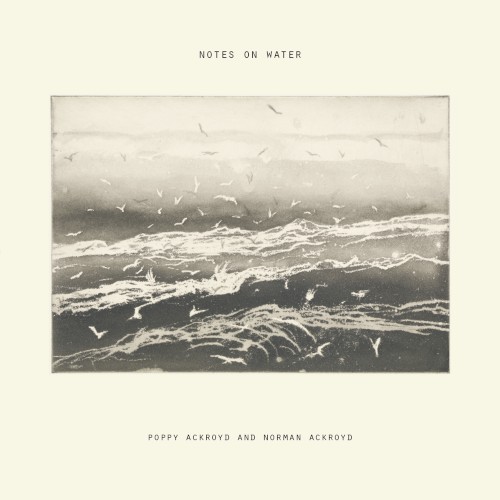 Notes on Water