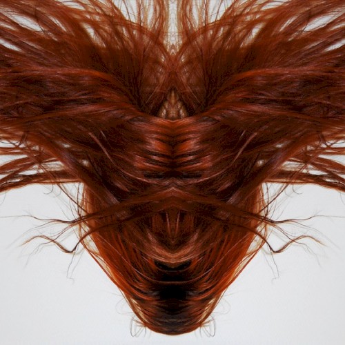 A Collection of Hair