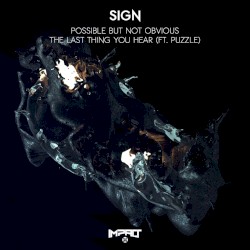 Possible But Not Obvious / The Last Thing You Hear