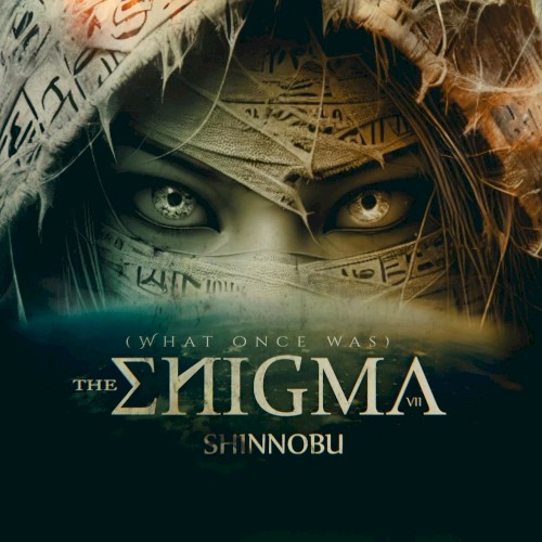 The Enigma VIII (What Once It Was)