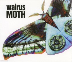 MOTH