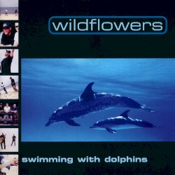 Swimming With Dolphins