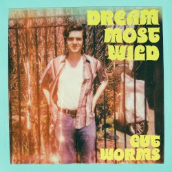 Dream Most Wild