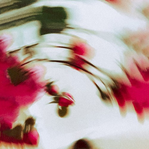 Simulated Reality LP