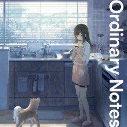 Ordinary Notes