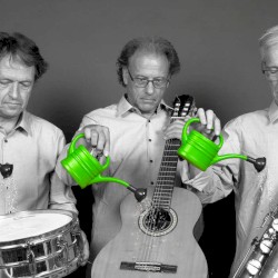 Music by Endangered Species