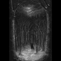 Im Wald