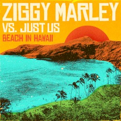 Beach in Hawaii