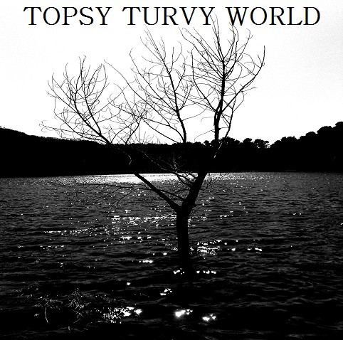 Topsy Turvy World