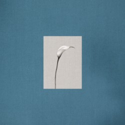 머무름, 둘