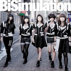 BiSimulation