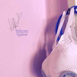 Relevanz (System)