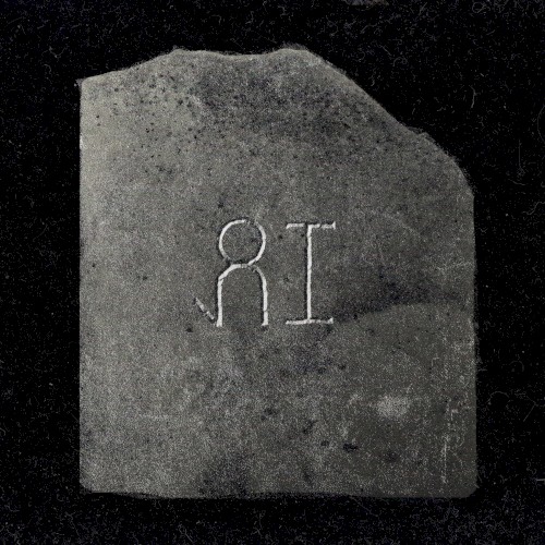 PALi PiNi