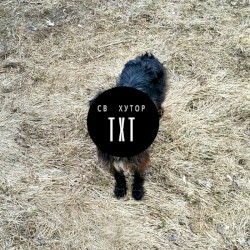 TXT