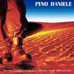 Non calpestare i fiori nel deserto