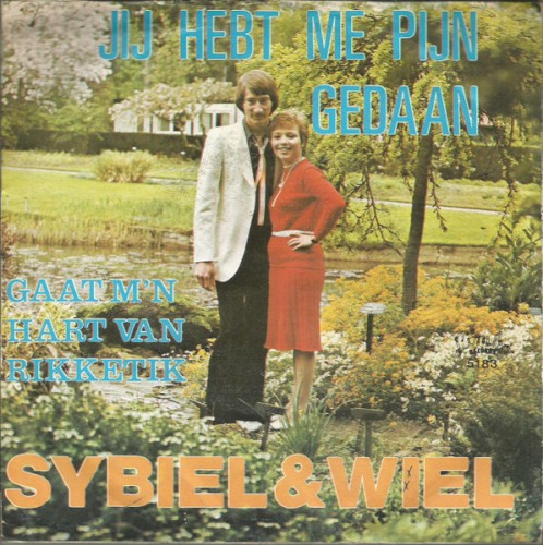 Jij hebt me pijn gedaan