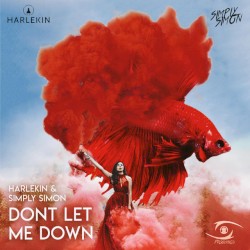 Don’t Let Me Down