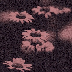 Crimewave (CRYSTAL CASTLES cover)