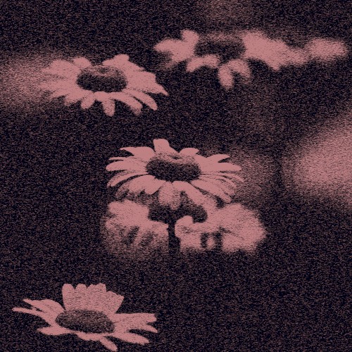 Crimewave (CRYSTAL CASTLES cover)