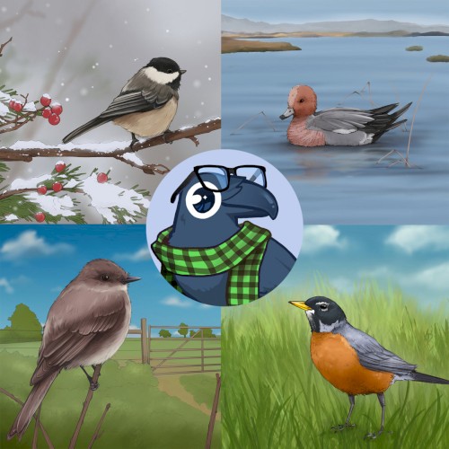 bird boy collection 🕊
