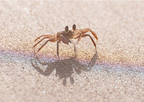 Sand Bubbling